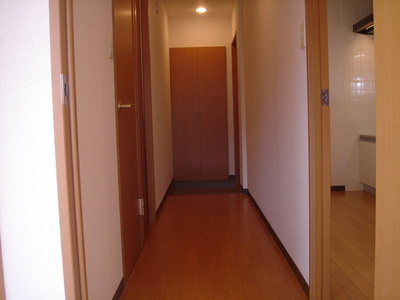 Entrance. The room from the front door