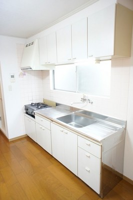 Kitchen. It is installed with two-burner gas stove grill