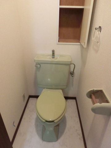 Toilet. With a convenient embedded storage
