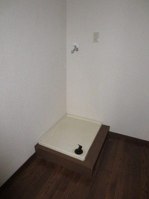 Washroom. Indoor Laundry Storage