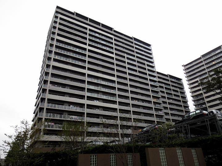 Local appearance photo. Appearance (November 2013) Shooting