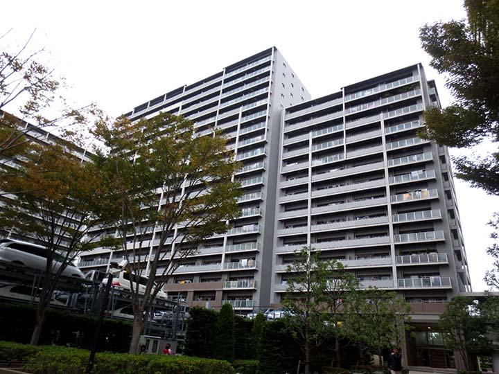 Local appearance photo. Appearance (November 2013) Shooting