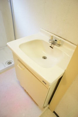 Other.  ※ reference Photo of another room Wash basin