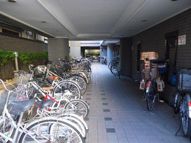 Parking lot. Bicycle-parking space