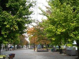 park. 407m to Miyamae park