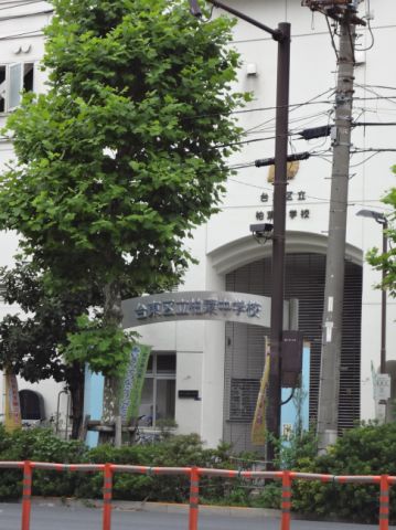 Junior high school. Municipal Kashiwaba 1100m up to junior high school (junior high school)