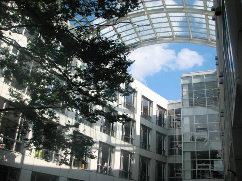 Junior high school. 258m until the Kaisei junior high school Kaisei junior high school