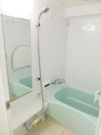 Bathroom. Water faucet, shower, New exchange the mirror