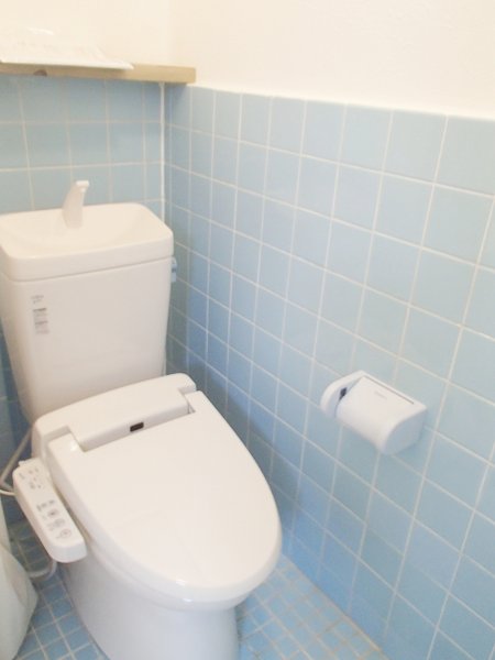 Toilet. Bidet