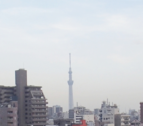 View. Sky tree