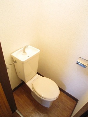 Toilet. It becomes a photo of another room