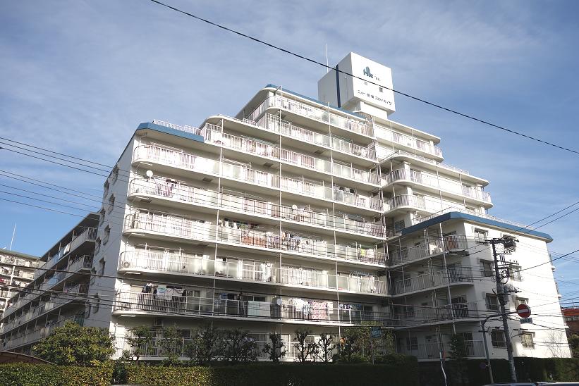 Local appearance photo. The current (December 2013) Shooting