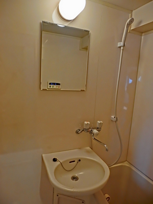 Washroom. With a convenient mirror