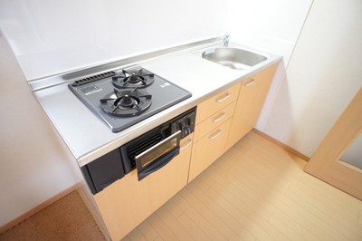 Kitchen. Two-burner gas stove installed base with grill