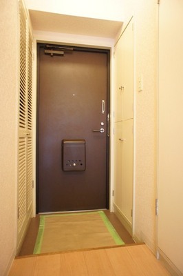 Entrance. Entrance with a footwear box