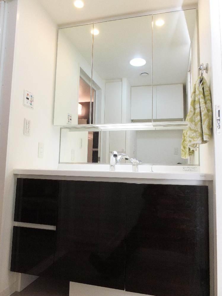 Wash basin, toilet. Bathroom vanity