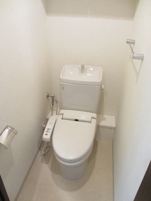 Toilet. It is a reference photograph of another room