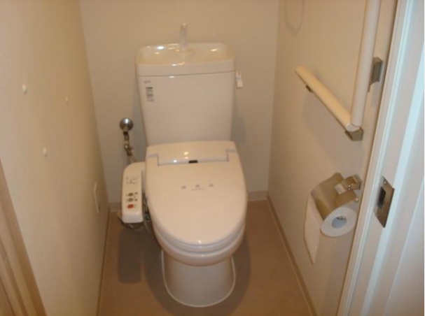 Toilet. Another type