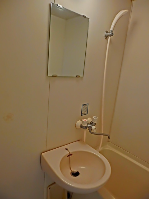 Washroom. With a convenient mirror