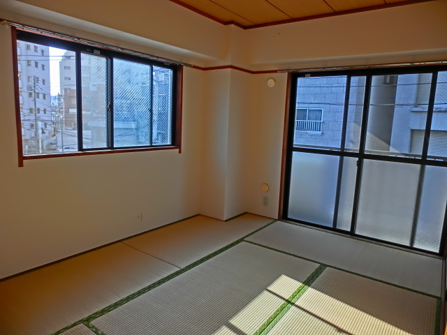 Living and room. Bright two-sided lighting of the Japanese-style room