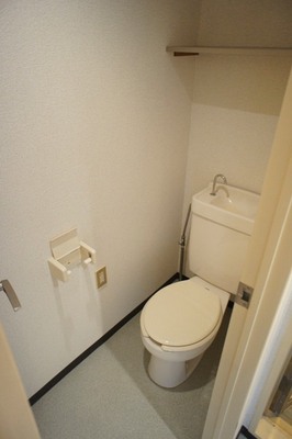 Toilet. Shelf with toilet