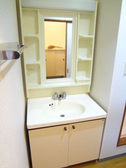 Washroom. Wide wash basin