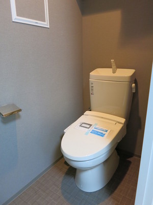 Toilet. C type photo diversion / Current Status confirmation necessity
