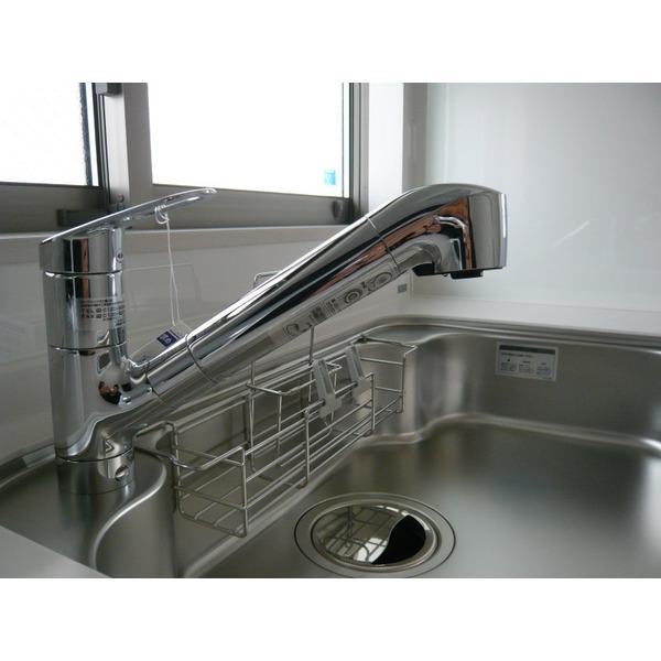 Kitchen. Water purifier integral shower faucet