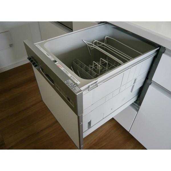 Kitchen. Also it comes with of course a dishwasher