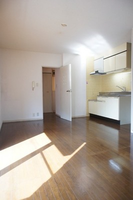 Living and room. Refrigerator can be installed in the kitchen next to