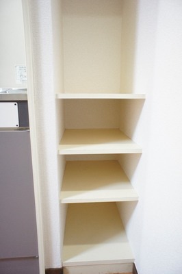 Other. There is storage shelves in the kitchen next to