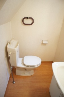 Toilet. Small window with