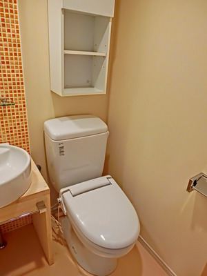Toilet. Enter a lot with storage
