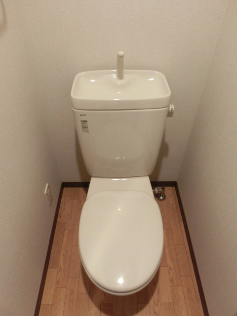 Toilet. Western-style toilet