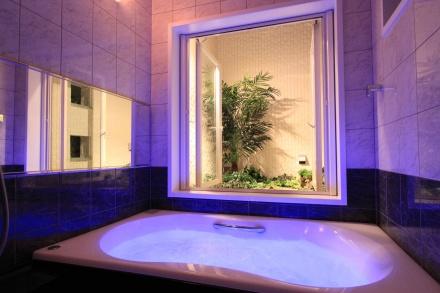 Bathroom. Example of construction. Guests can enjoy a fantastic bath time in the lighting effect of the bathtub.