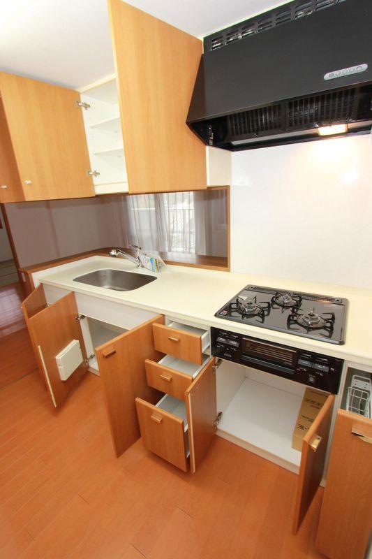 Kitchen. System kitchen and storage