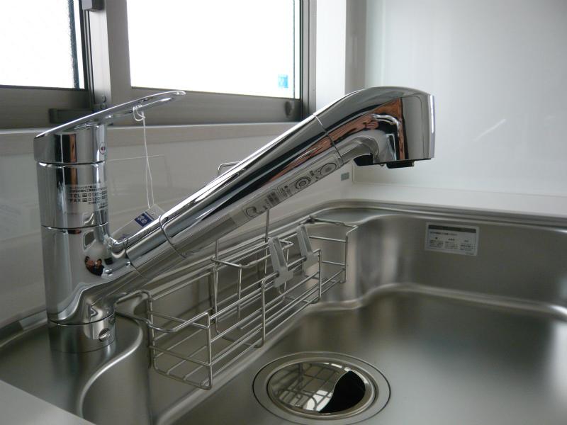 Kitchen. Shower faucet with a water purifier