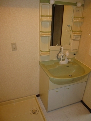 Washroom. Shower Dresser