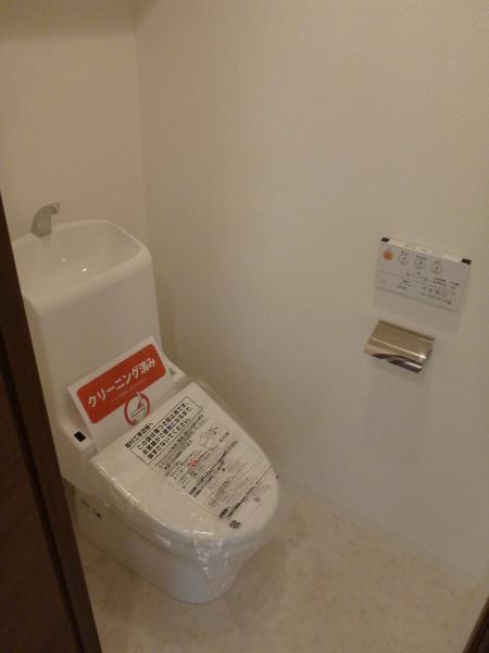 Toilet. Friendly cleaning toilet seat to the buttocks!