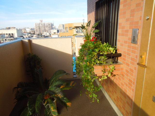 Entrance. Local (12 May 2013) Shooting