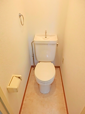 Toilet. Western-style toilet