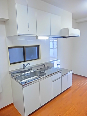 Kitchen. Two-burner stove installation Allowed kitchen