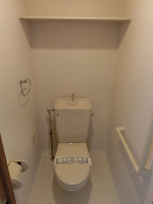 Toilet. WC shelf