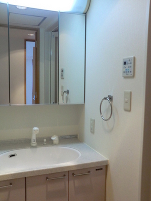 Washroom. With shampoo dresser