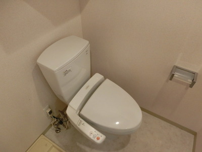 Toilet. Washlet Toilets