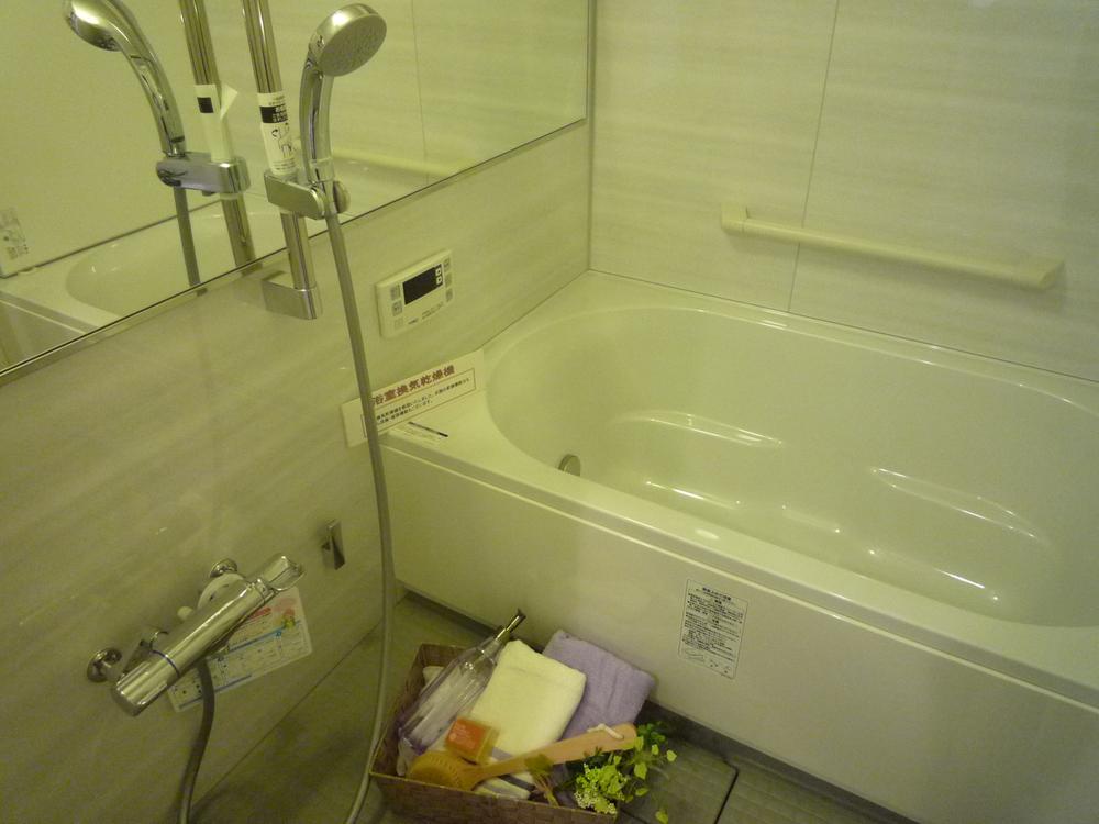 Bathroom. Indoor (10 May 2013) Shooting