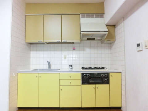 Kitchen. Kitchen (4 lot gas stoves)