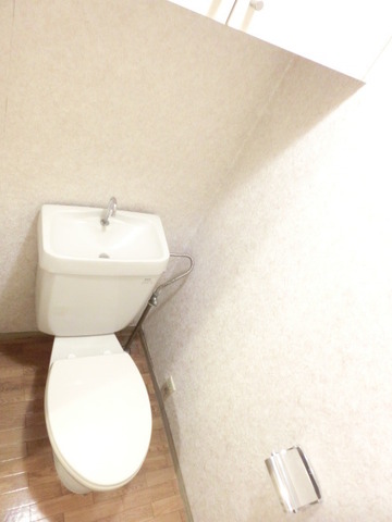 Toilet. Toilet