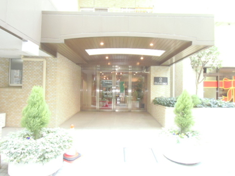 Entrance. Mansion entrance