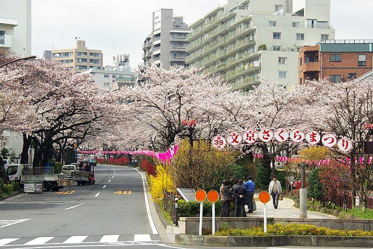 park. Harima slope 2841m until the cherry tree-lined